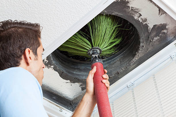 Best Air Duct Mold Removal  in Dover, OH